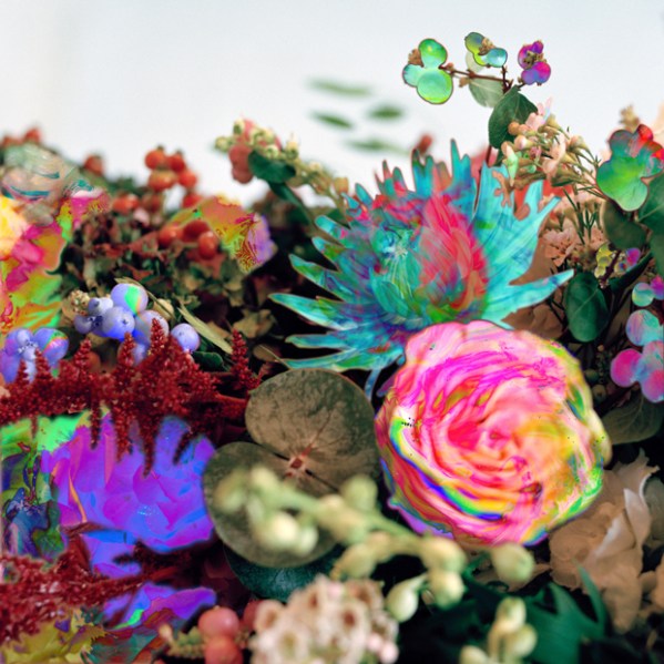 darkstar-news-from-nowhere-warp225