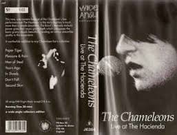 Vídeo – The Chameleons Live @ Haçienda&nbsp;(1982)