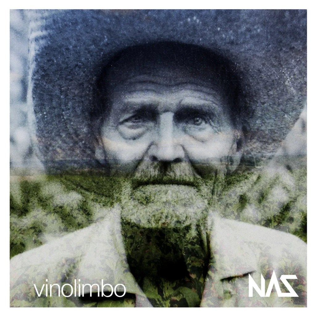 vinolimbo – I Never Step On Cracks ‘Cause I Thought I’d Hurt My Mother&nbsp;(2014)