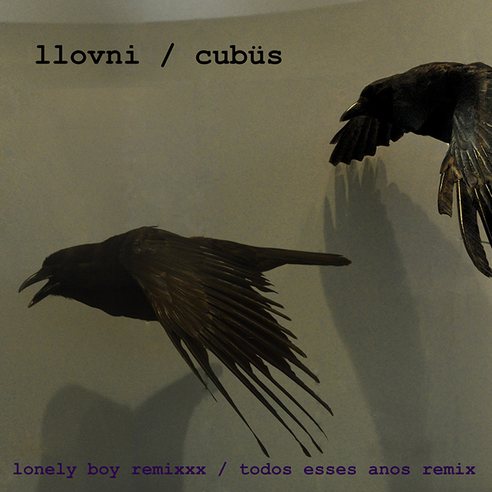 llOVNi / Cubüs – Lonely Boy Remixxx / Todos Esses Anos Remix&nbsp;(2015)