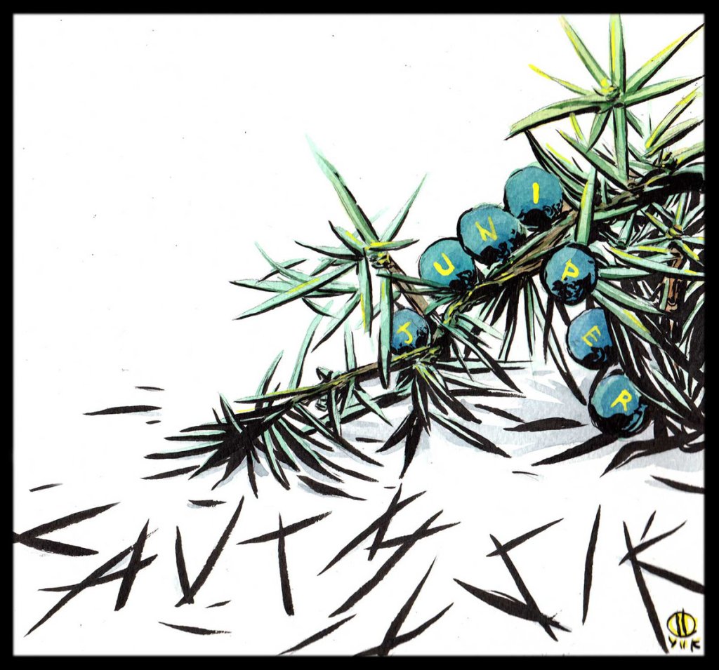 Lautmusik – Juniper&nbsp;(2015)