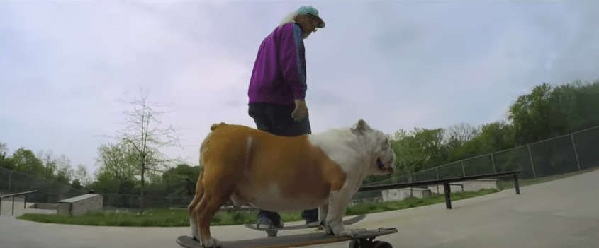 Vídeo: Dinosaur Jr. – Tiny&nbsp;(2016)