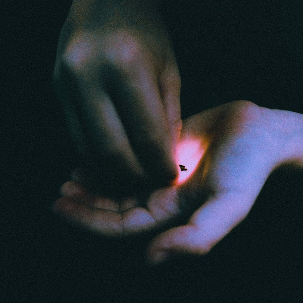 Bambara – Stray&nbsp;(2020)