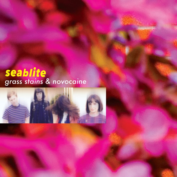 seablite – Grass Stains And Novocaine&nbsp;(2019)